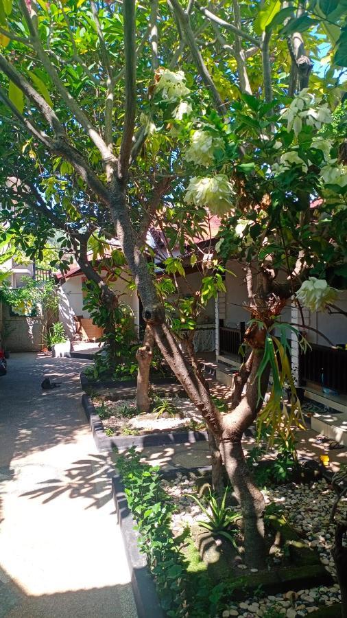 Gili Guest House Gili Air Exterior foto